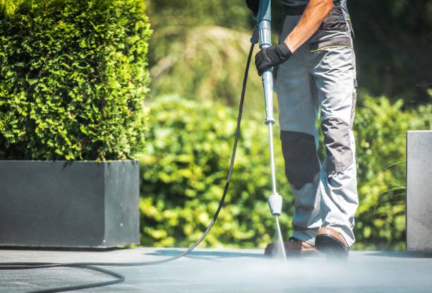 Best Pool Deck Cleaning  in Meadow Vista, CA